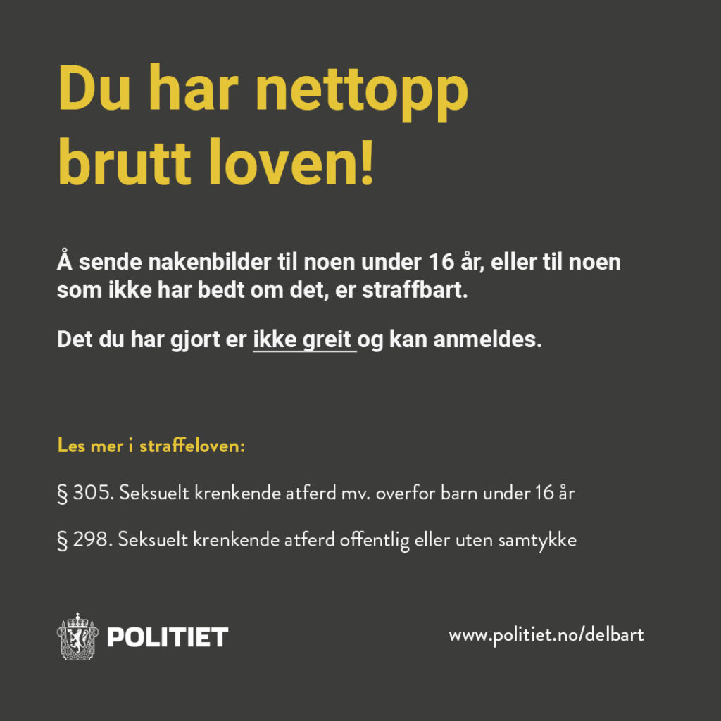 Digital seksuell skadelig atferd